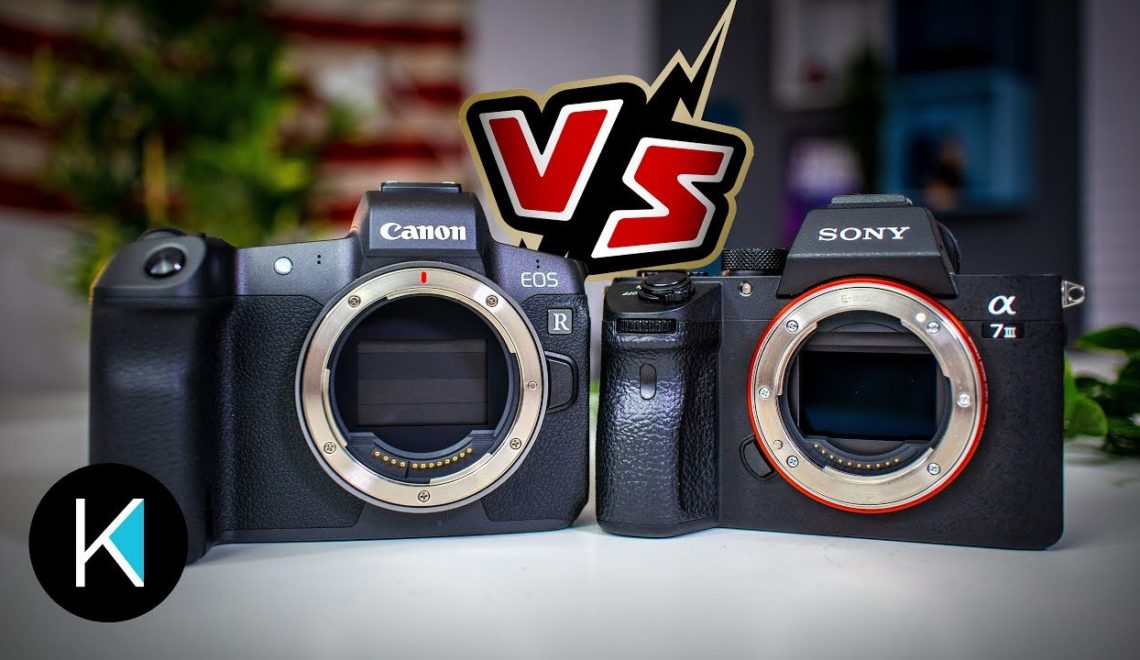 השוואה בין מצלמת a7 III למצלמת EOS r